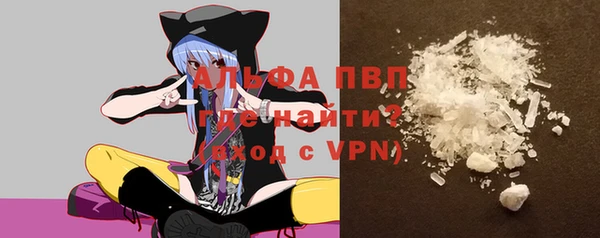 сатива Горнозаводск