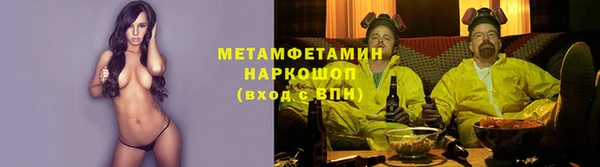 сатива Горнозаводск