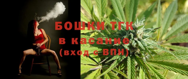 сатива Горнозаводск