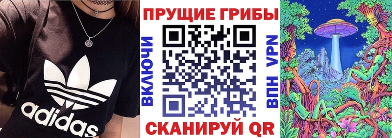 Галлюциногенные грибы Psilocybe  Купить где  Алагир 