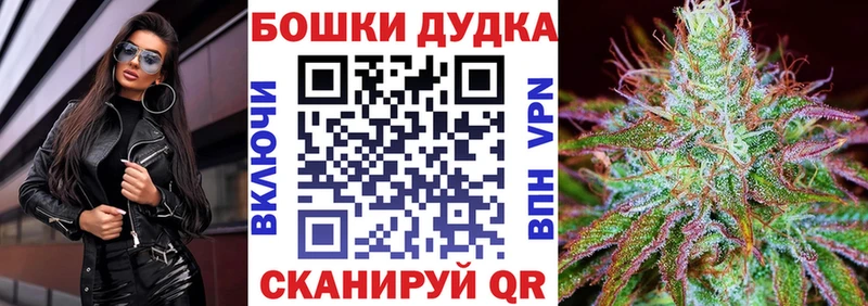 Канабис сатива  Купить закладки  Алагир 